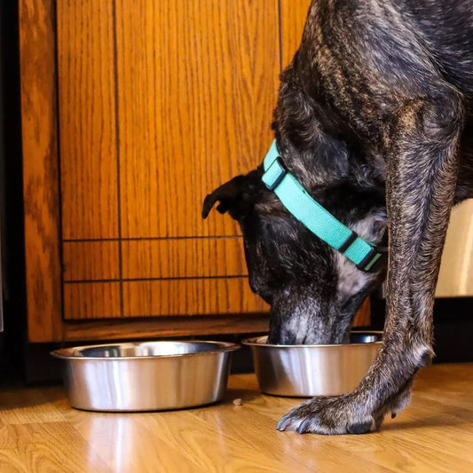 Stainless Steel Dog Bowl 2-Pack Metal Food and Water Dish (8.1" inch Outer Diameter) Pet Feeder Replacement Bowls Dishwasher Safe, Easy to Clean (7 Cups)