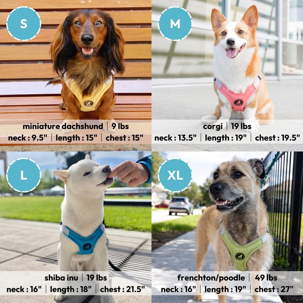 Gooby Memory Foam Step in Harness - Pink, Small - No Pull Dog Harness with Patented Choke-Free X Frame for Small to Medium Dogs
