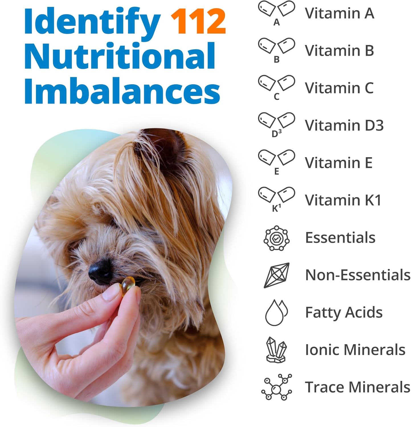 5Strands Pet Nutritional Imbalance Test, 112 Vitamins & Minerals Tested, at Home Dog & Cat Health Check for All Ages & Breeds, Nutrition Deficiency Test, Results in 4 Days