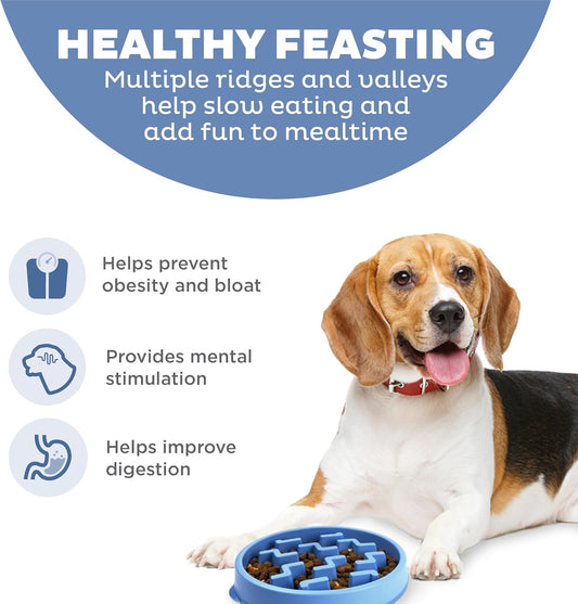 Outward Hound Fun Feeder Slo Bowl – Medium 2‑Cup Capacity, Slow Feeding, Small to Medium Dogs & Cats, Non-Slip, Blue, Notch Pattern