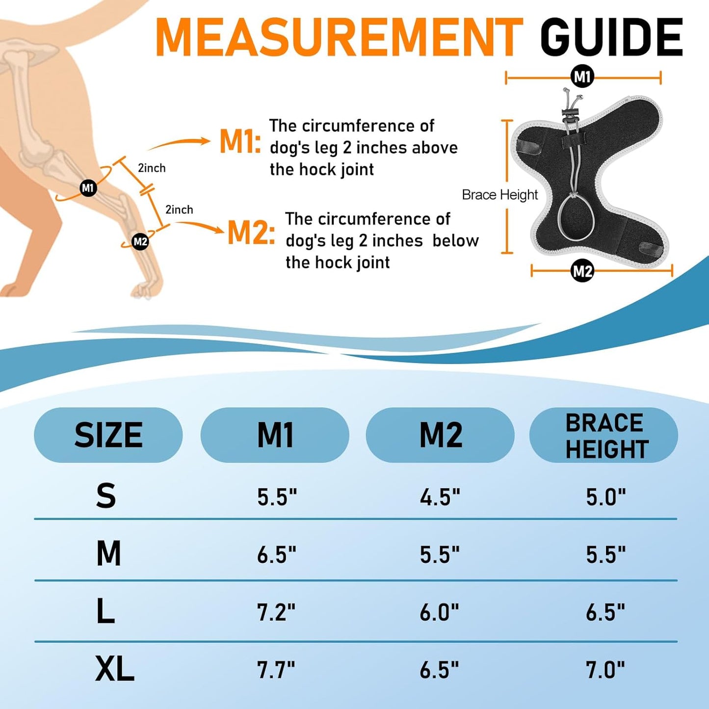Supet Knuckling Brace for Dogs, Comfortable Foot Splint, Ankle Brace Back Leg for Toe Dragging Cause by Myelopathy, Sciatic Nerve Insufficiency & Herniated Disc (Black, M)