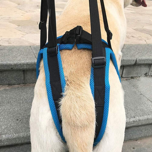 Lifting Harness for Dogs Back Legs Pet Support Harness Rear Helps with Poor Stability Joint Injuries Elderly and Arthritis Rehabilitation Rehab (Small)