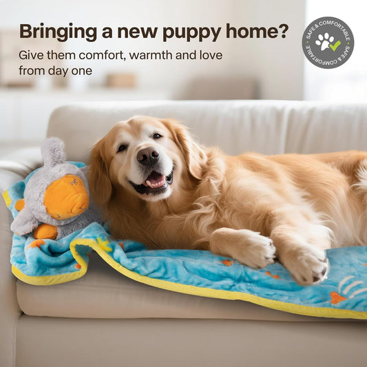 Puppy Essentials Starter Kit - New Born Dog Toys Gifts Heartbeat Puppy for Dogs, Teething Toys, Heat Packs & Cozy Blanket for Crate Training & Anxiety Relief