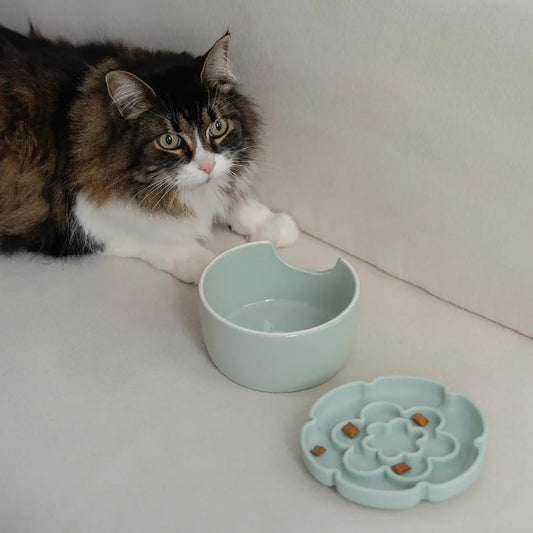 Flower Elevated Slow Feeder - Sage Green - 7.75oz Capacity, Silicone Cat Dish w/Removable Ceramic Stand, Pet Meal Feeding, Water & Food