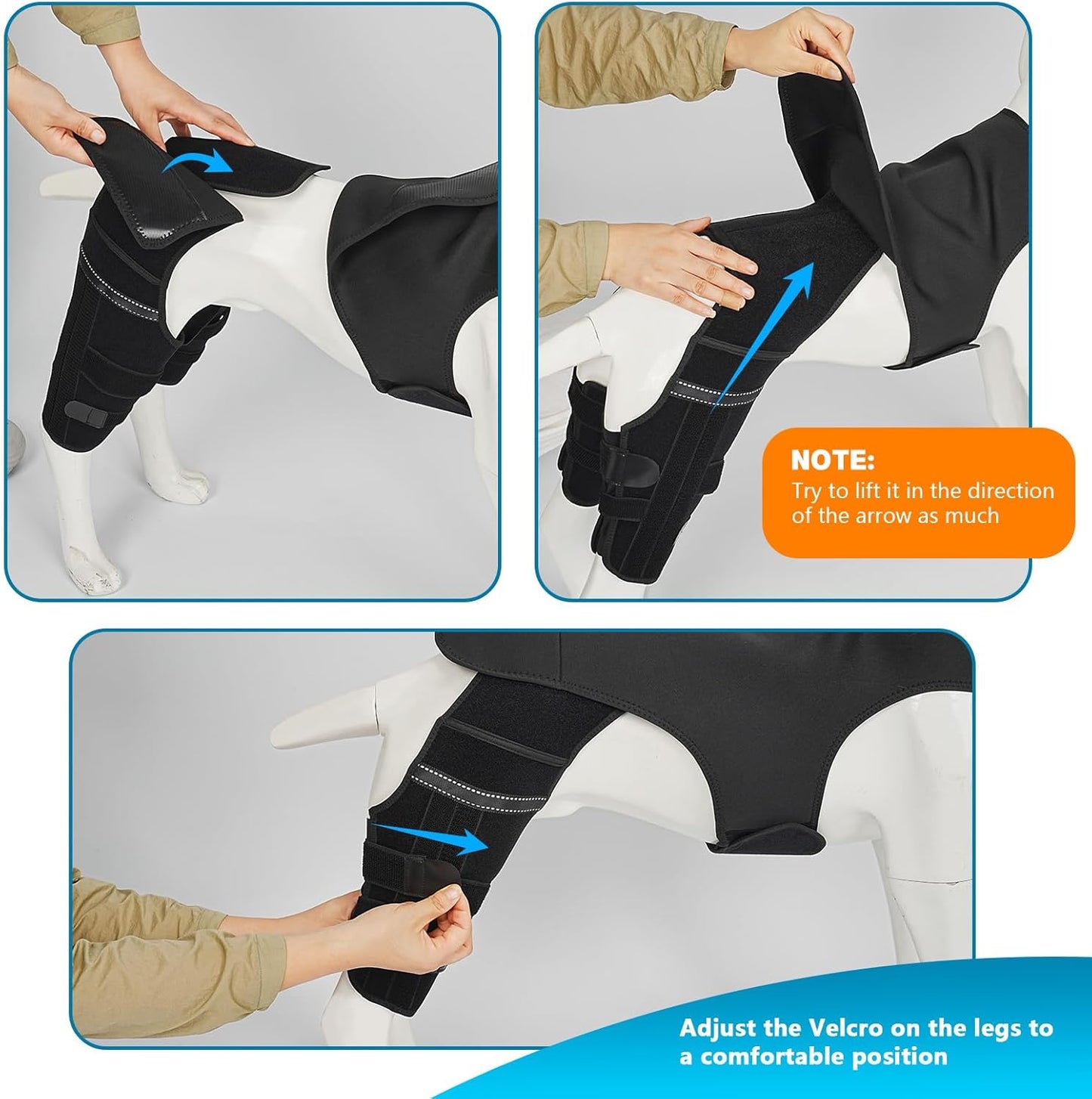 Dog Leg Braces for Back Leg, Adjustable Dog Knee Brace for Torn Acl Hind Leg with 4 Stabilizers, Hip Support to Reduces Pain, Ligament Injuries, Luxating Patella, S