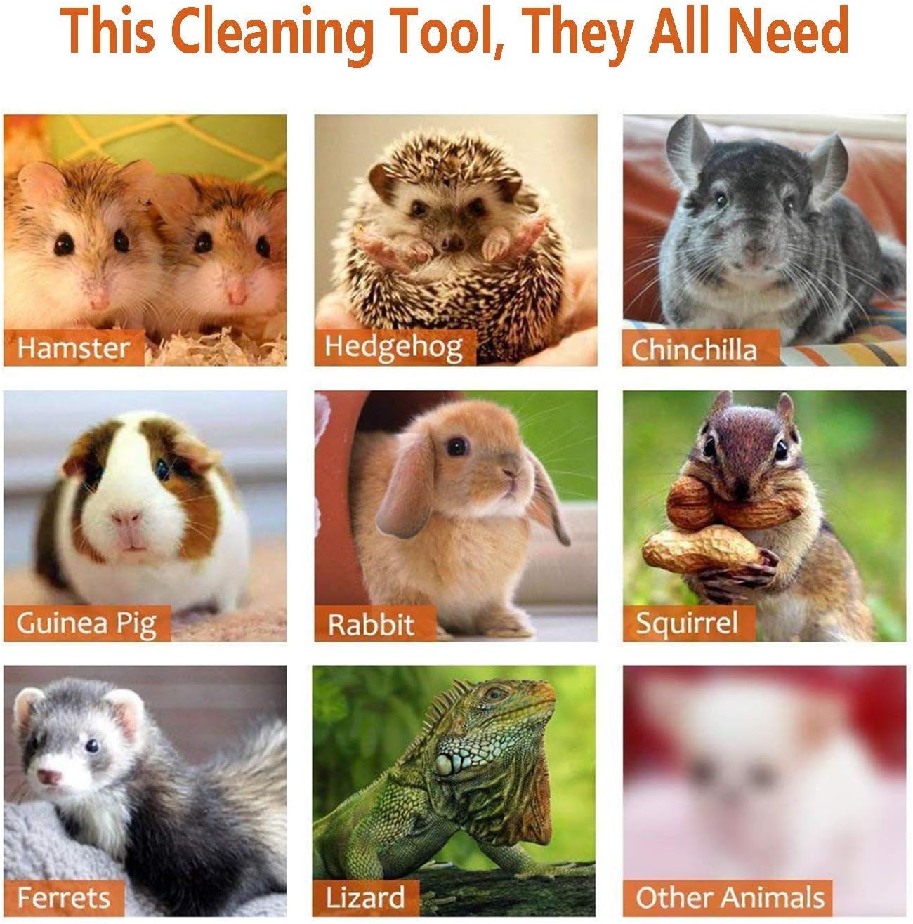 Rypet Cage Cleaner for Guinea Pigs, Hamsters, Chinchillas, Rabbits, Reptiles, Hedgehogs and Other Small Animals - Mini Dustpan and Brush Set Cleaning Tool for Animal Waste (1 Pack)