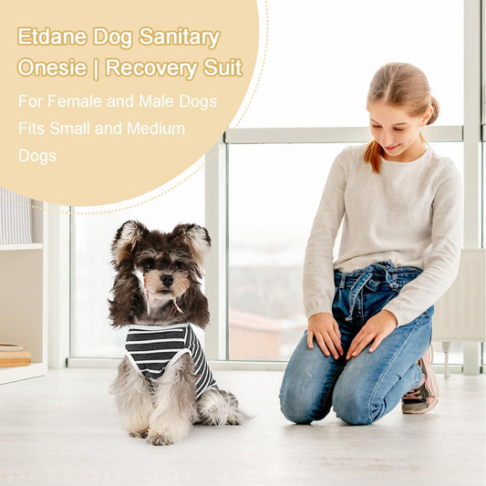 Etdane Dog Diapers Sanitary Panties Physiological Period Shirts Surgical Recovery Suits for Male and Female Dogs White Stripe Small