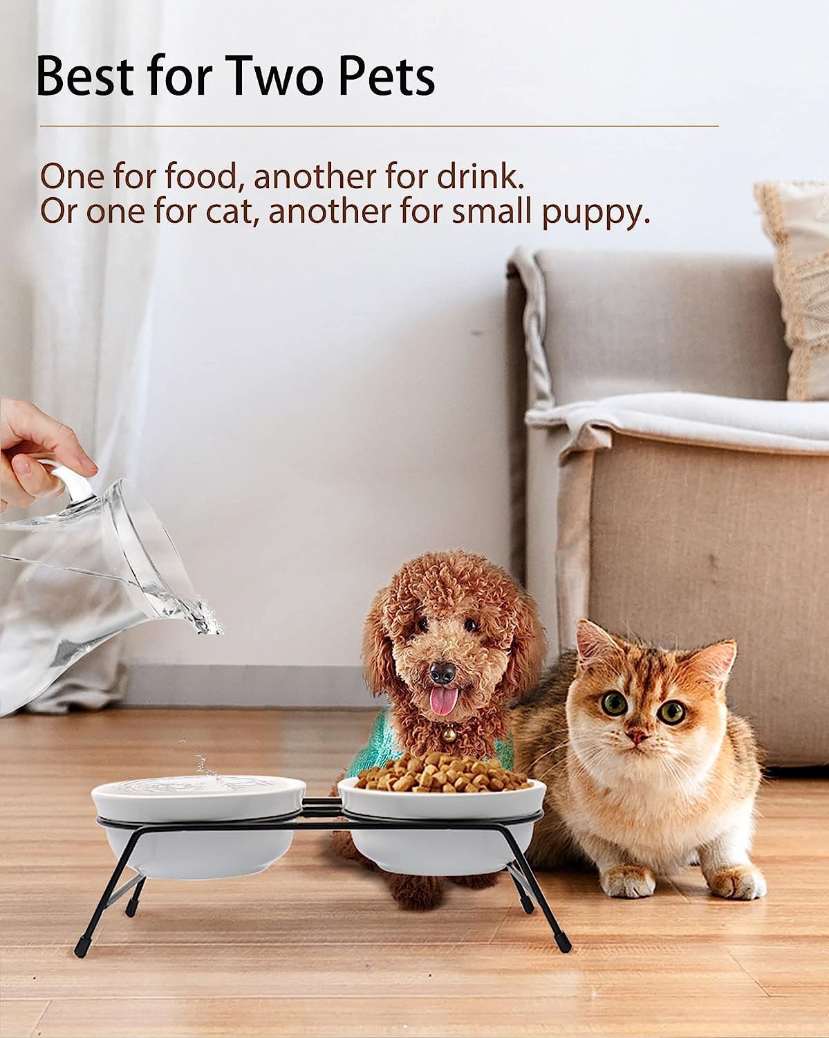 COMESOON 5" Ceramic Cat Bowl with Fish Bone Pattern, Cat Food Bowl for Food and Water, Healthy Cat Dishes for Indoor Cats and Small Dog, Dishwasher Safe & Microwaveable - White