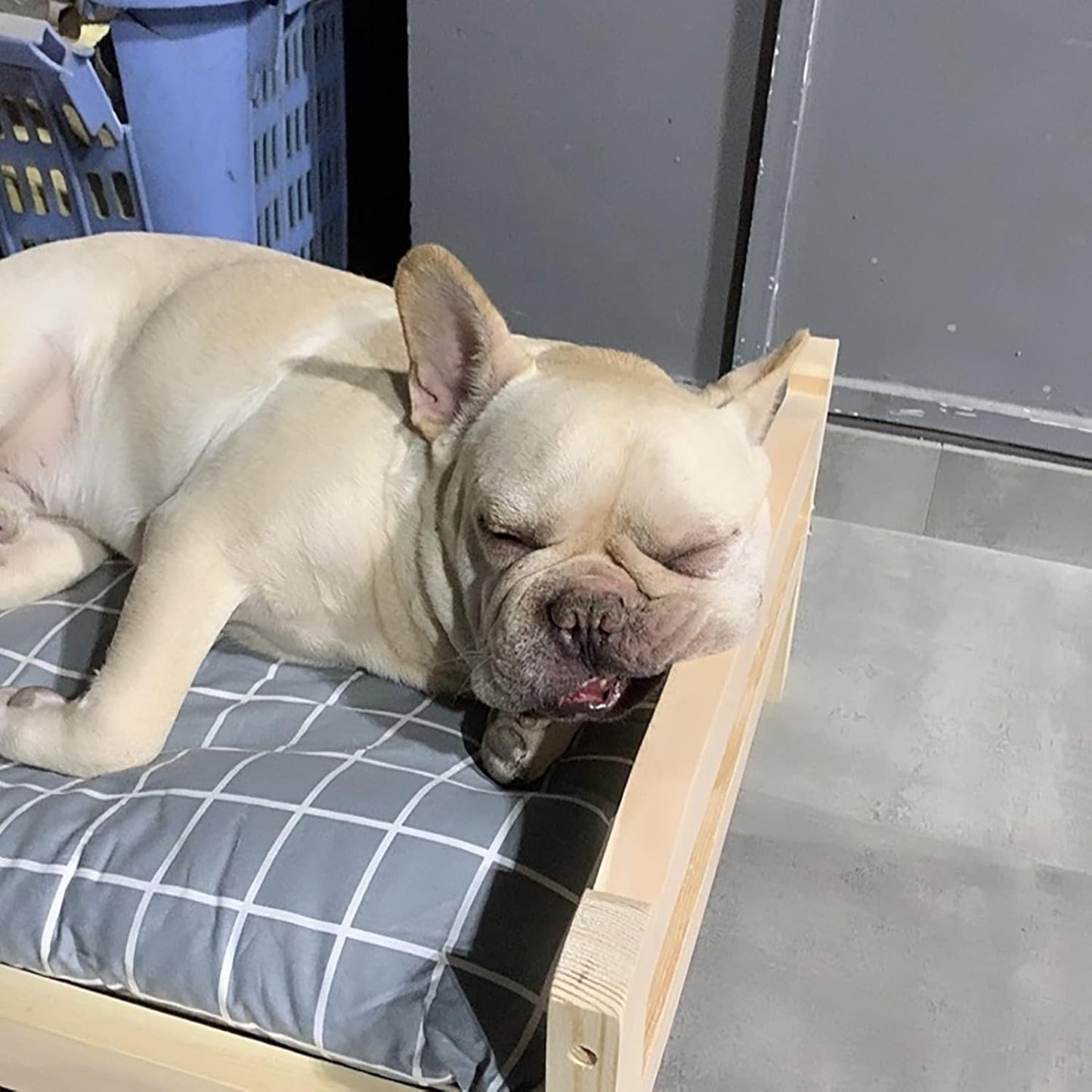 Pet Bed Wooden Raised Dogs Cot with Grey Mattress, Orthopedic Joint Relief Elevated Pet Cat Bed Frame, for Indoor, Outdoor, Training, Easy Assemble (Size : L-91x56x25cm/35.8x22x9.8) ()