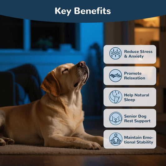 Melatonin for Dogs, Calming Chews for Dogs for Sleep, Fireworks, Storms, Thunder, Barking, Separation, Dog Calming Chews with Valerian Root & L-Theanine, 200 Count