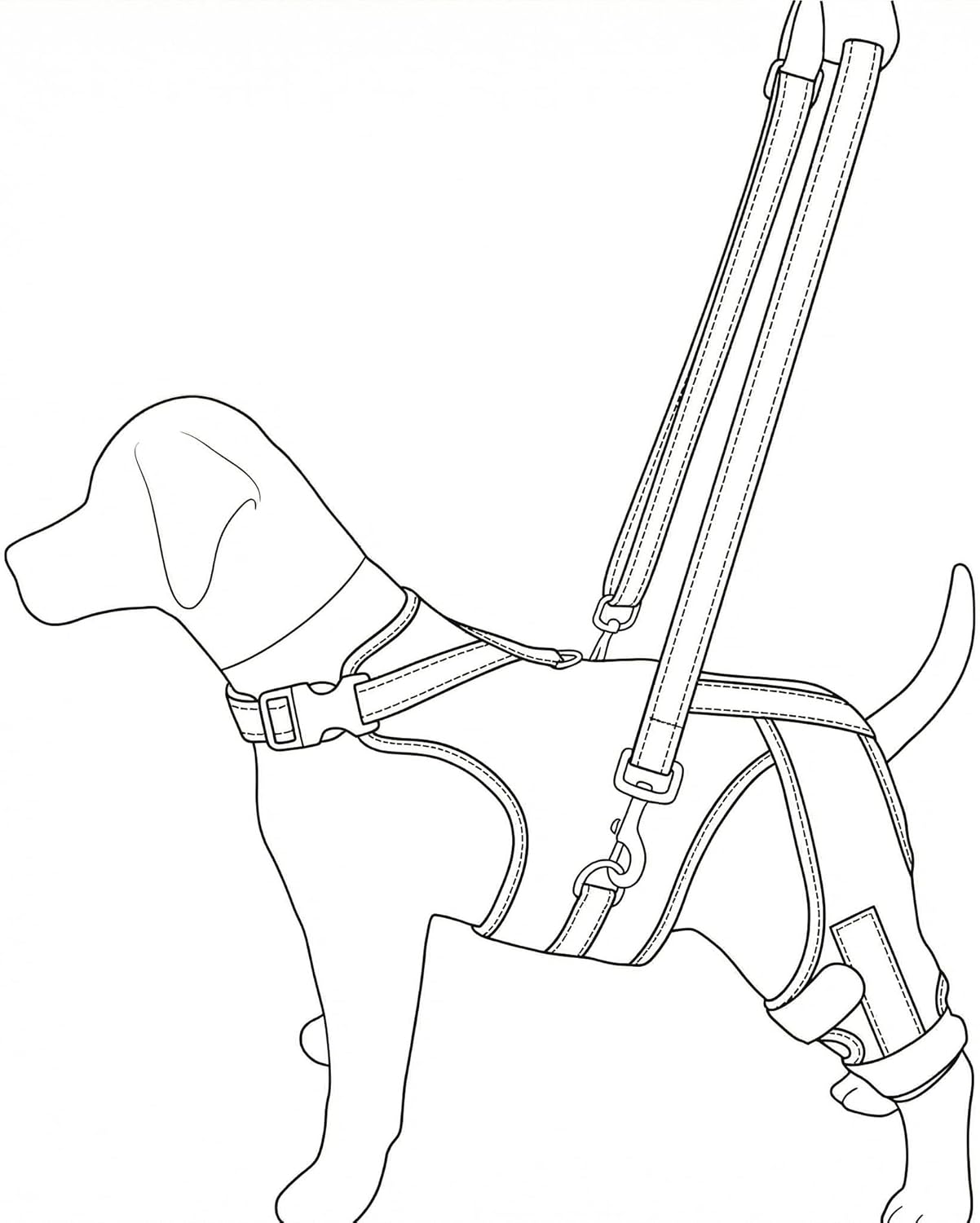 2-in-1 Dog Knee Brace and Lift Harness, Adjustable Back Leg Support with Stabilizers for ACL Recovery & Joint Care, Dog Sling for Hind Legs, Mobility Aid for Elderly Dogs with Luxating Patella (M)
