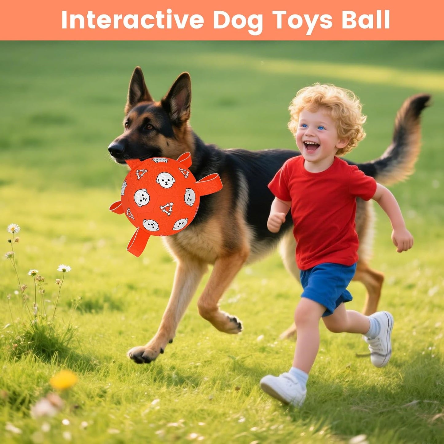 Dog Soccer Ball, Durable Dog Soccer Ball with Straps, Outdoor Puppy Toys for Small Medium Dogs, 6 Inch