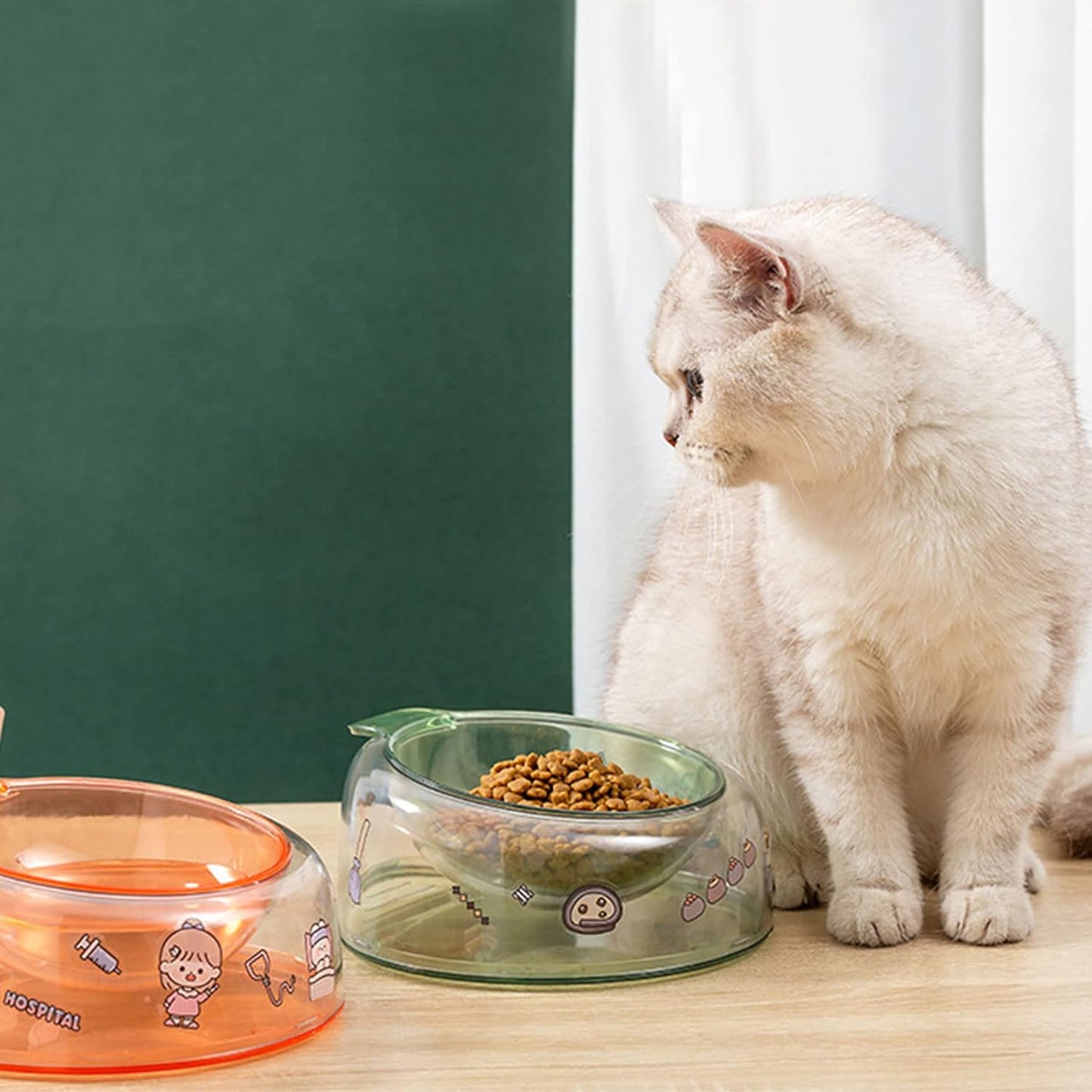 Pet Dishes Bowls with Stand for Kitten Small Dogs Food & Water Bowl 3 Tilted Elevated Bowl Protect Pet