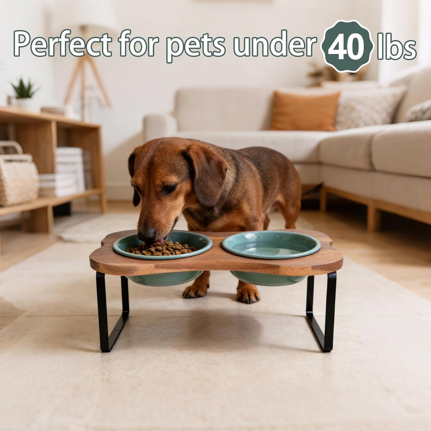 SPUNKYJUNKY Ceramic Elevated Tilted Dog Bowls Bone-Shaped Raised with 2 Height Iron Stand, 6.9'' Dog and Cat Food Water Bowls Set Non-Slip for Small Medium Sized Breed - 20 OZ,Dark Green