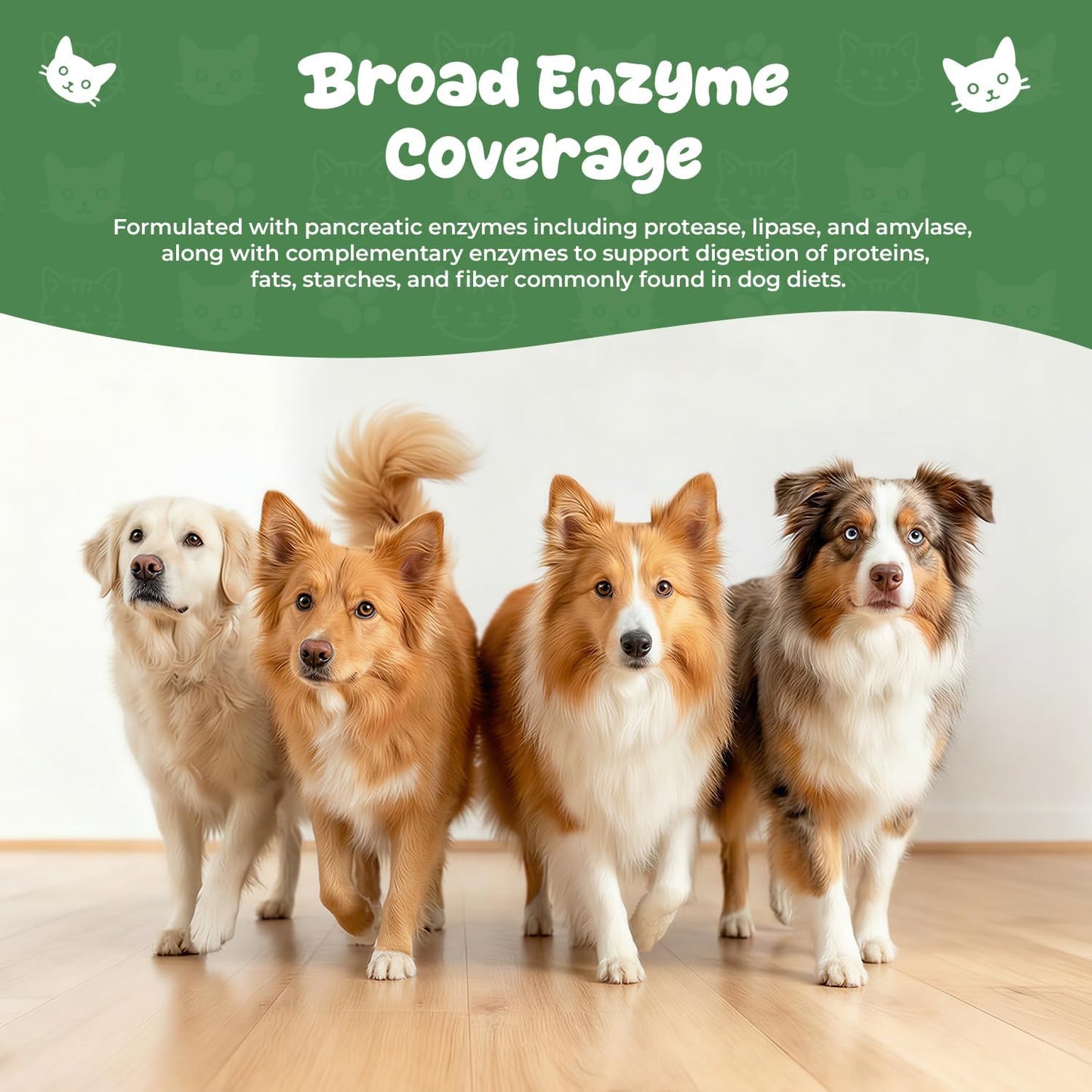 Digestive Enzymes for Dogs, Stool Eating Deterrent Support & Diet Change Aid, Liquid Enzyme Drops to Help Break Down Protein, Fat & Carbs, Daily Digestive Support, 2 fl oz (60 mL)
