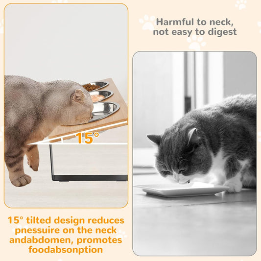 2 Set Elevated Cat Food Water Bowls, 6 Stainless Steel Bowls, 15° Tilted Raised Cat Bowl Set, for Indoor Cats for Small Cats and Puppies Pet Bowls with Stand
