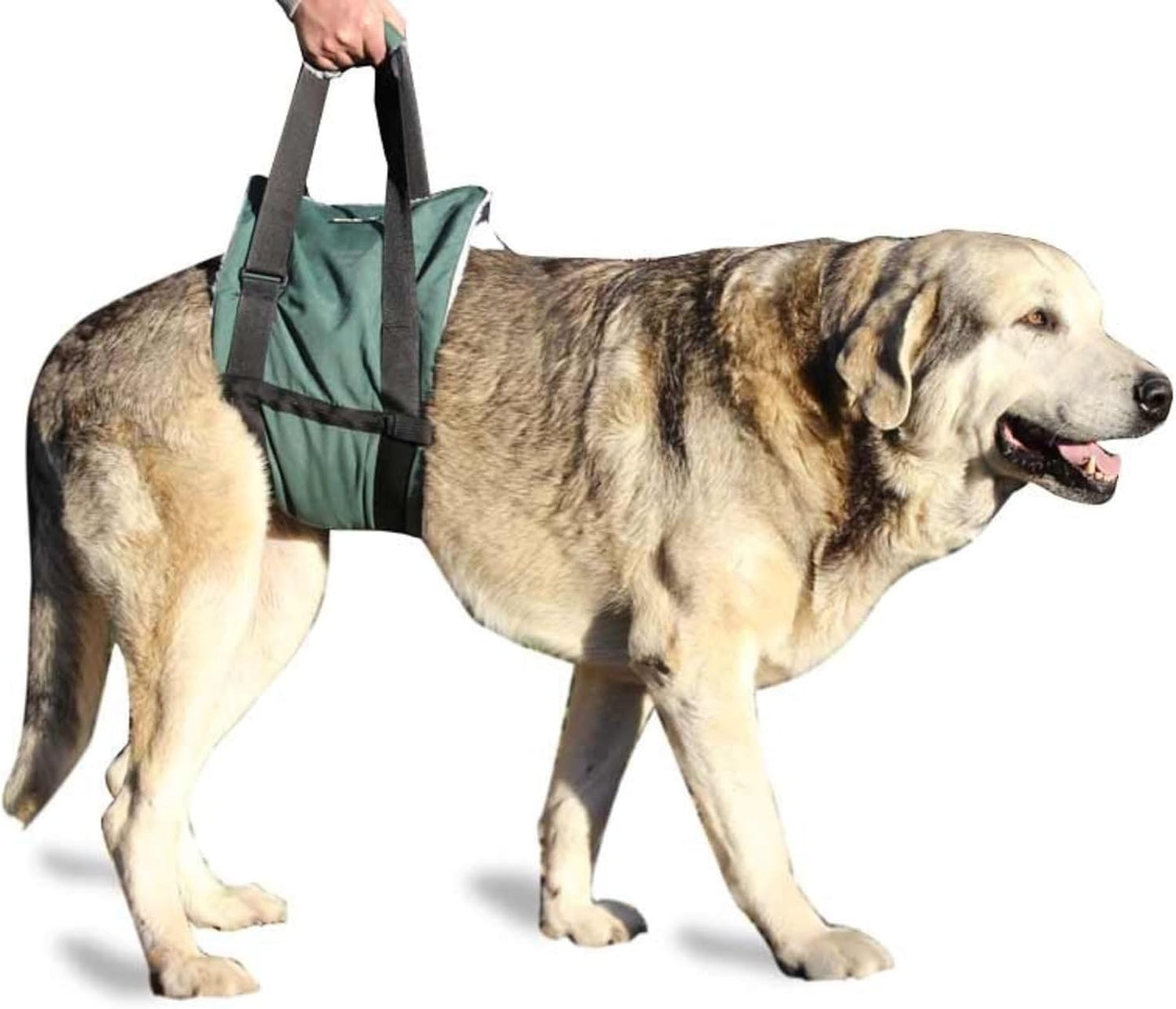 Ortocanis - Walking Aid. Support Harness for Dogs with Mobility Problems. Hind Leg Support. Size L