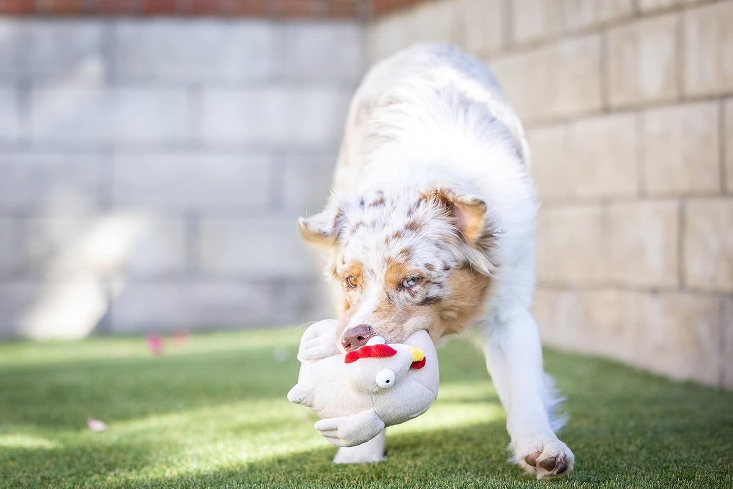 Downtown Pet Supply 2 in 1 Stuffed Plush Chicken Toy - Tearable With Durable Light Up Squeaker Inside for Medium and Large Dogs - Chew Toys for Aggressive Chewers