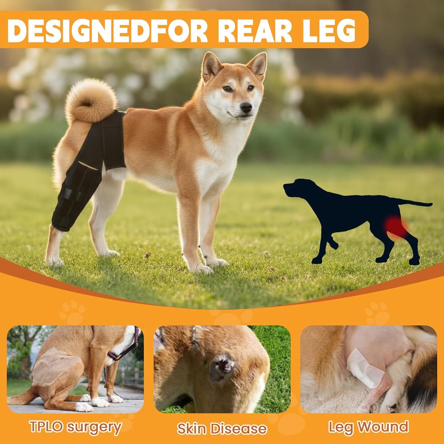 Dog Knee Brace for Hind Leg – Adjustable Rear Leg Support with 2 PP Resin Bars, Helps Torn ACL, Ligament Injuries, Luxating Patella & Hip Dysplasia Recovery for Left/Right Hind Leg (S)