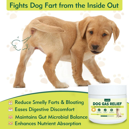 Dog Gas Relief, Relief Smelly Farts with 4B CFU Pediococcus Acidilactici Probiotics, Digestive Enzymes, Dog Fart Remedy to Help Gas & Bloating, Dogs Farts Relief, Dogs Gut Health Digestive Support