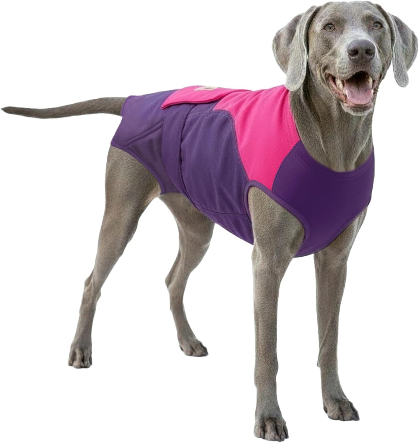 SurgiSnuggly Dog Suspenders for Diapers Female OR Male Disposable Dogggie Diapers Keeper It's A Dog Diaper Holder- Wrap Around Legs for Superior Fit 2XL PP