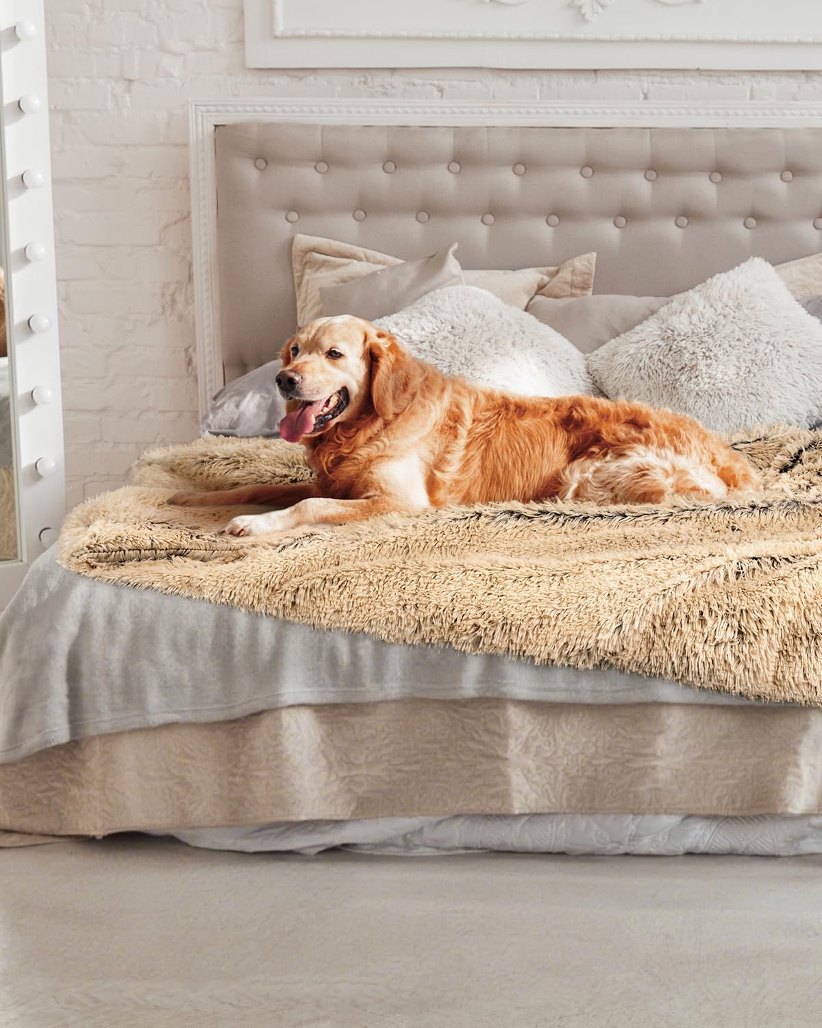 PJYuCien Dog Blankets for Medium Large Dogs Washable - Fluffy Fuzzy Cat Blanket for Couch, Puppy Throw for Furniture with Polyester Fleece, Super Soft Plush for Pet Kitten Doggy, Brown, 50" x 60"