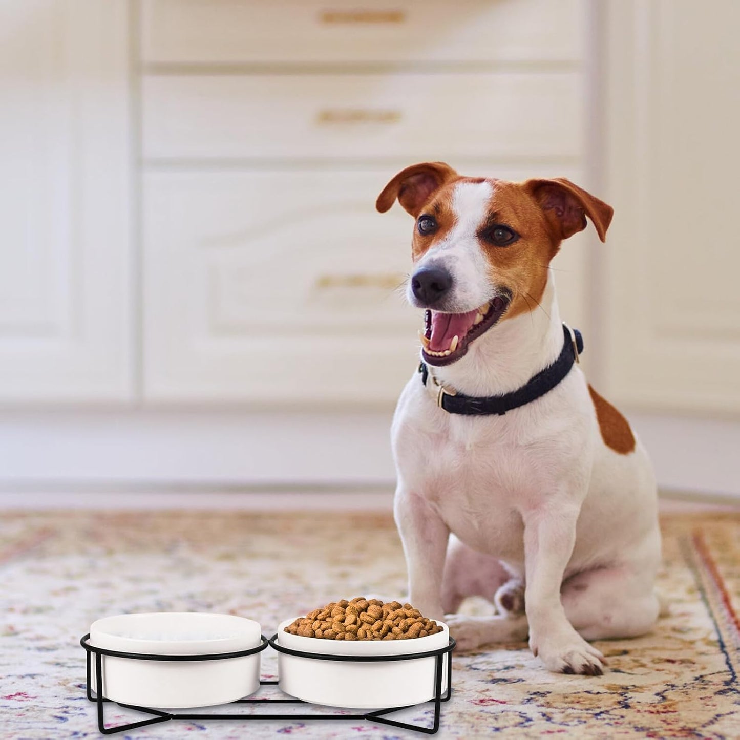 PRETYZOOM Ceramic Pet Bowl Double Dog Bowls with Black Iron Raised Stand 13cm Spill-Resistant Cat Feeding Dish for Water and Food