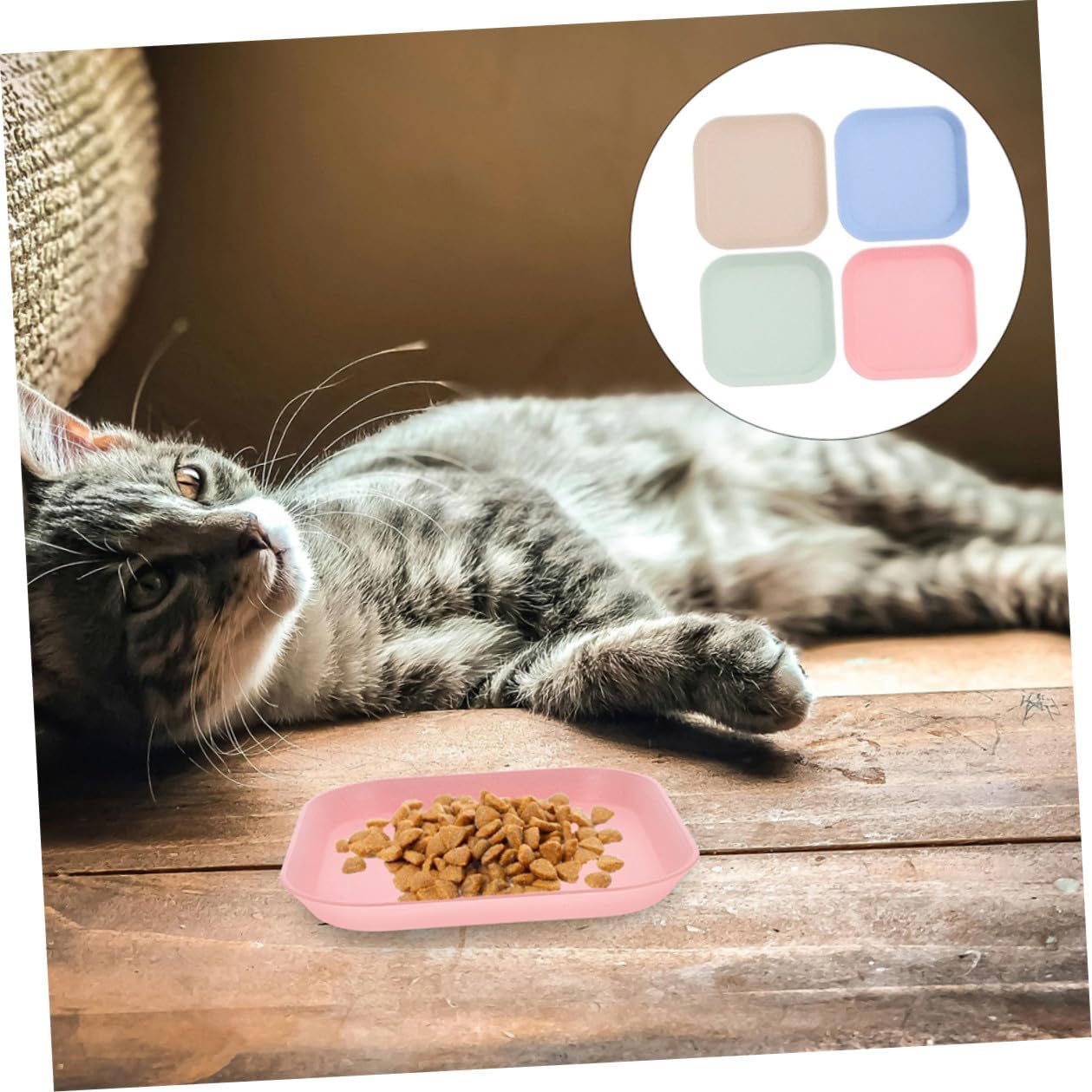 PRETYZOOM 8pcs Shallow Square Cat Food Bowls Kitten Wet Food Plates Small Indoor Pet Feeding Dishes Assorted Colors