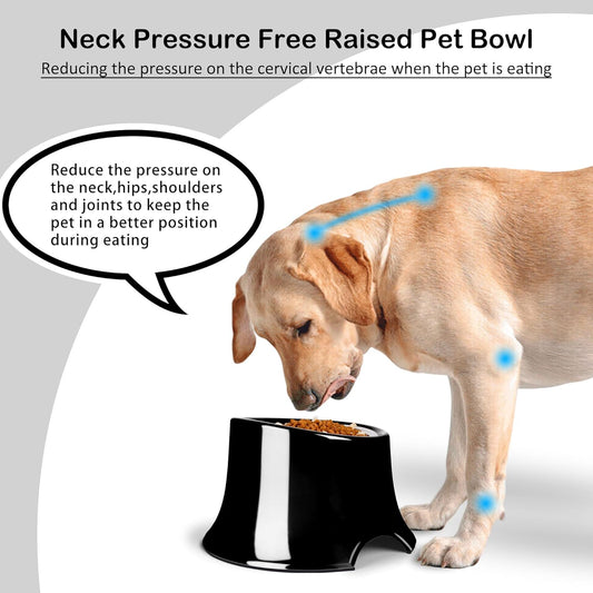 Tilted Elevated Dog Bowls Non-Slip & Non-Spill Pet Feeder with Elevated Detachable Melamine Stand, High Capacity Tilted Dog Bowl for Medium Small Size Dogs M/2 Cup Black