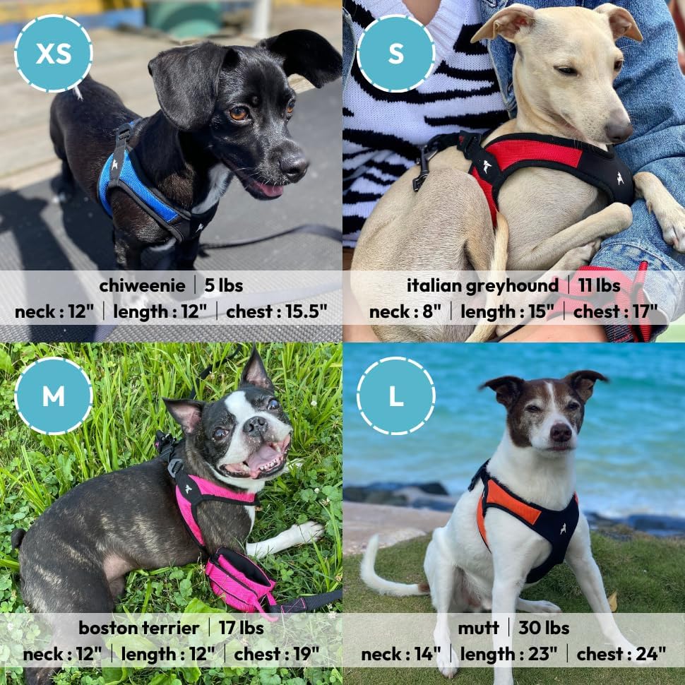 Gooby - Escape Free Easy Fit Harness, Small Dog Step-In Harness for Dogs that Like to Escape Their Harness, Purple, X-Small