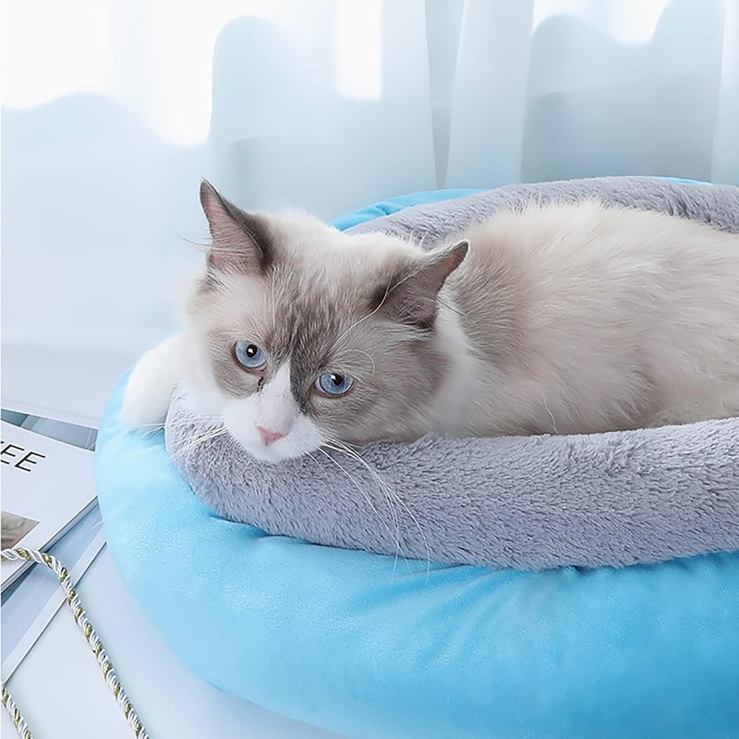 Dog Bed, Cat Beds for Indoor Cats Pet Bed for Puppy Extra Soft & Machine Washable Round Soft Plush Cat Beds Round Comfortable Warming Pet Bed,Gray,M