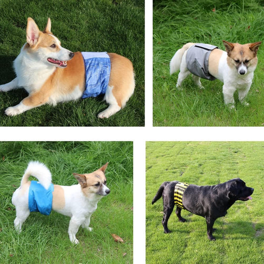 Reusable Belly Bands for Dogs,3 Pack Male Dog Diapers Male Washable Puppy Wrap XXL