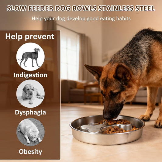 Slow Feeder Dog Bowls, 2 Pack 5 Cups Double-Sided 304 Stainless Steel Lick Plate & Slow Eating Bowl for Medium Large Dogs, Food-Grade Heavy Duty Metal Pet Food Holder Puzzle Maze Dish for Fast Eaters