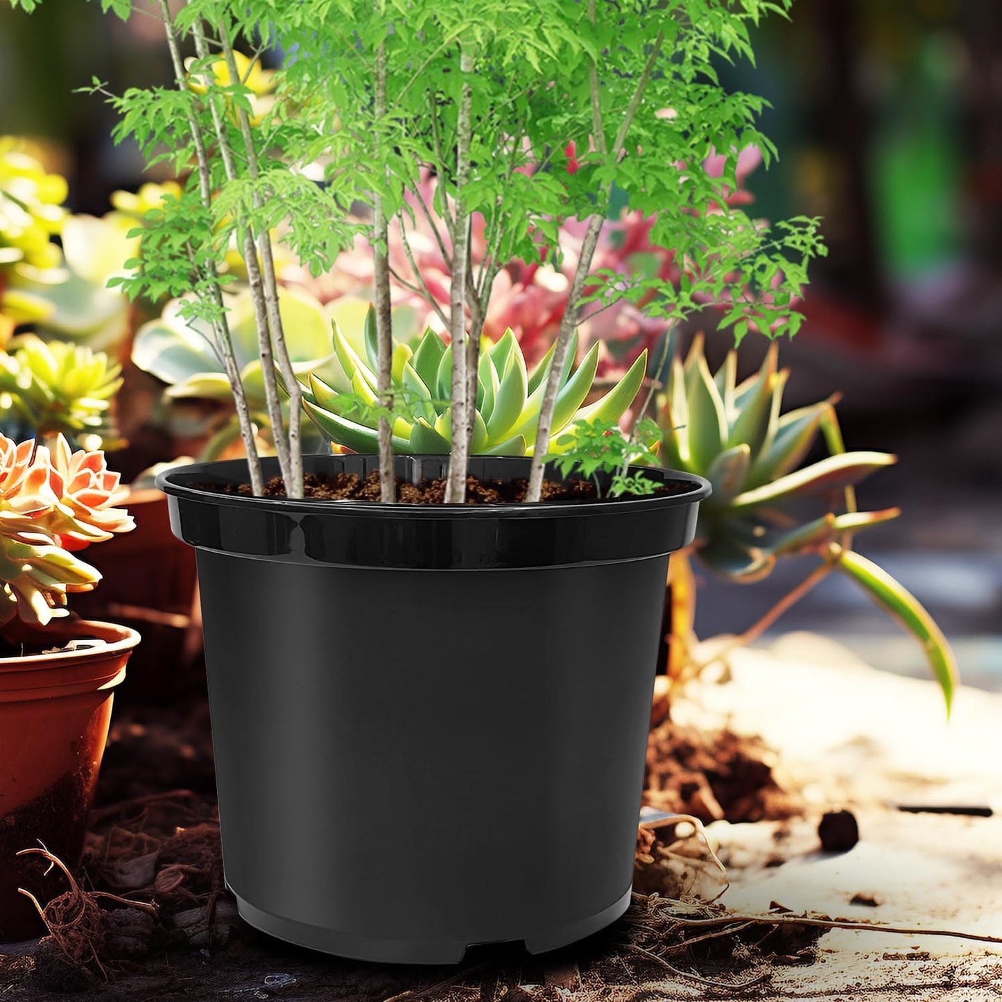 5 Gallon 12 Inch Plastic Nursery Pots, Plant Containers with Drainage Holes, Round Sturdy Garden Planters for Indoor/Outdoor Greenery, Gardening Gifts for Women (5-Pack, Black)