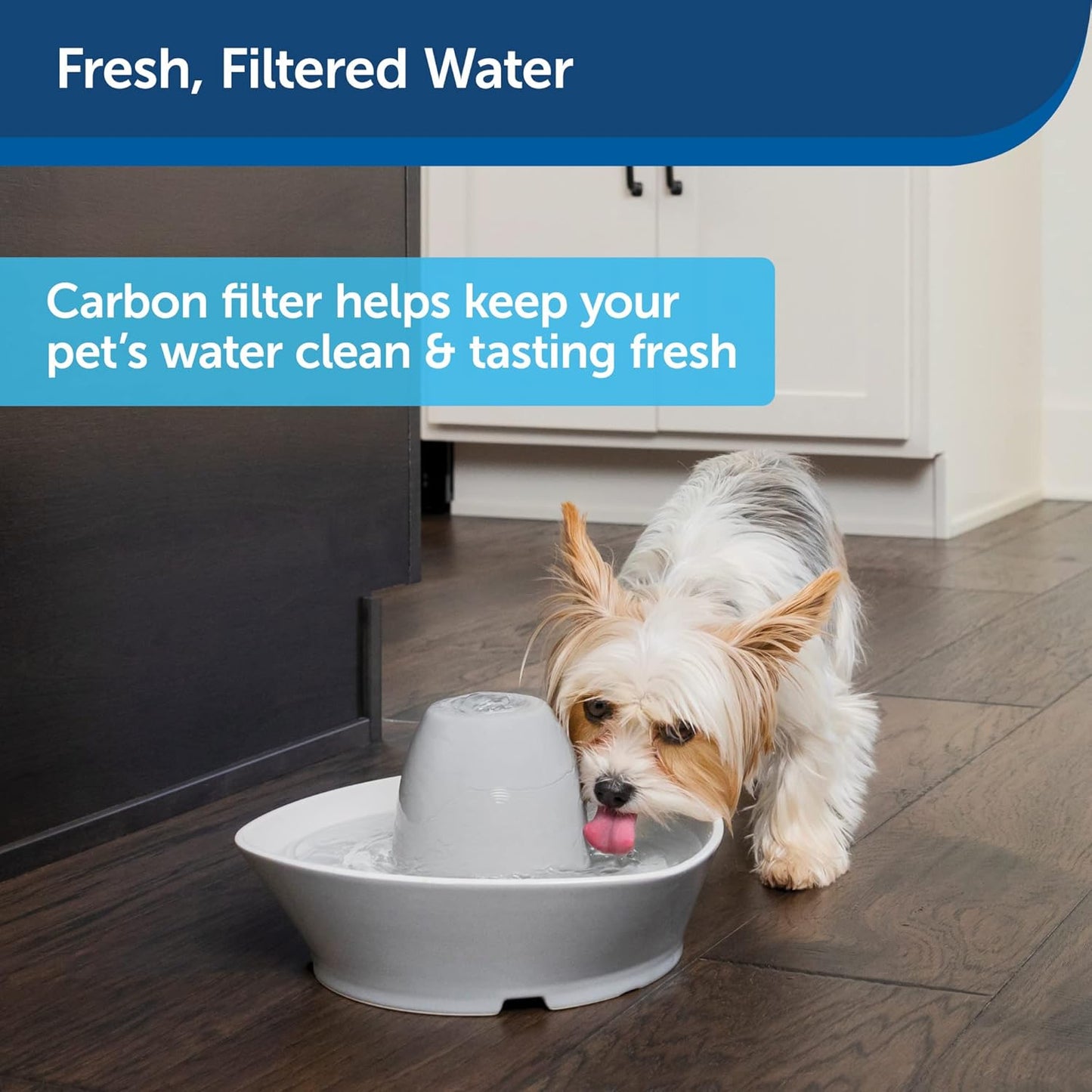 PetSafe Drinkwell Pagoda Pet Fountain and Replacement Carbon Filters Bundle