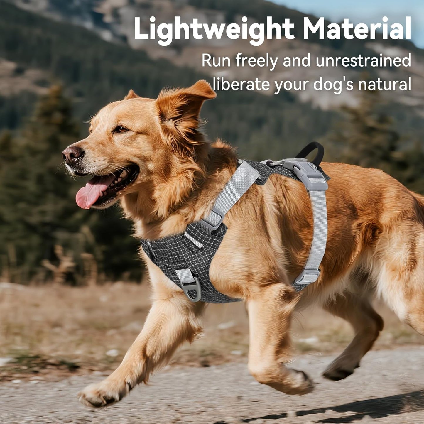 Joytale No Pull Dog Harness with AirTag Holder, Soft Night Safety Light up Dog Harness with Control Handle and 2 Clips, Adjustable Lightweight Dog Vest for Large Sized Pet Everyday Use, Black, L