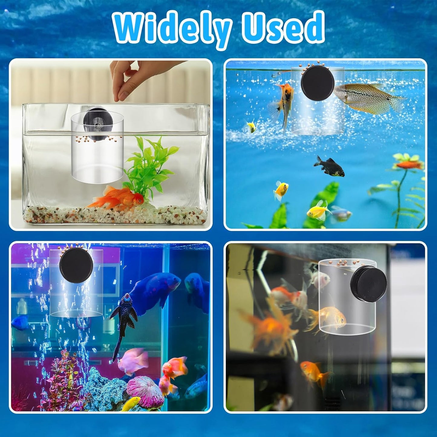 2 Pcs Magnetic Fish Tank Feeders Acrylic Fish Food Feeding Ring for Aquarium Tank Accessories, Suitable for Pellet, Frozen, Flake or Freeze Dried Food