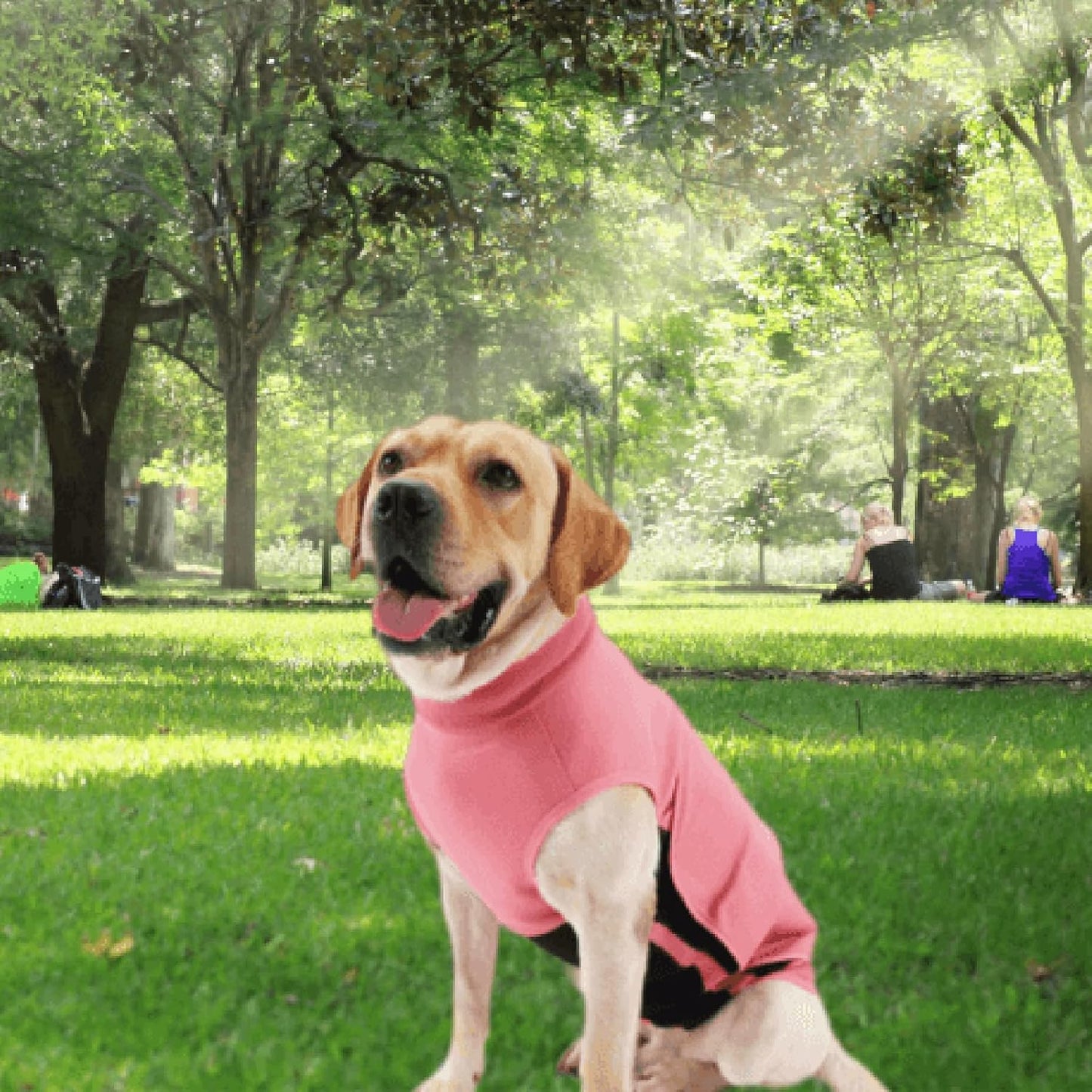 Dog Anxiety Vest Thunder Vest for Dogs Anxiety Dog Thunder Jacket for Thunderstorm,Travel and Vet Visits Pink S