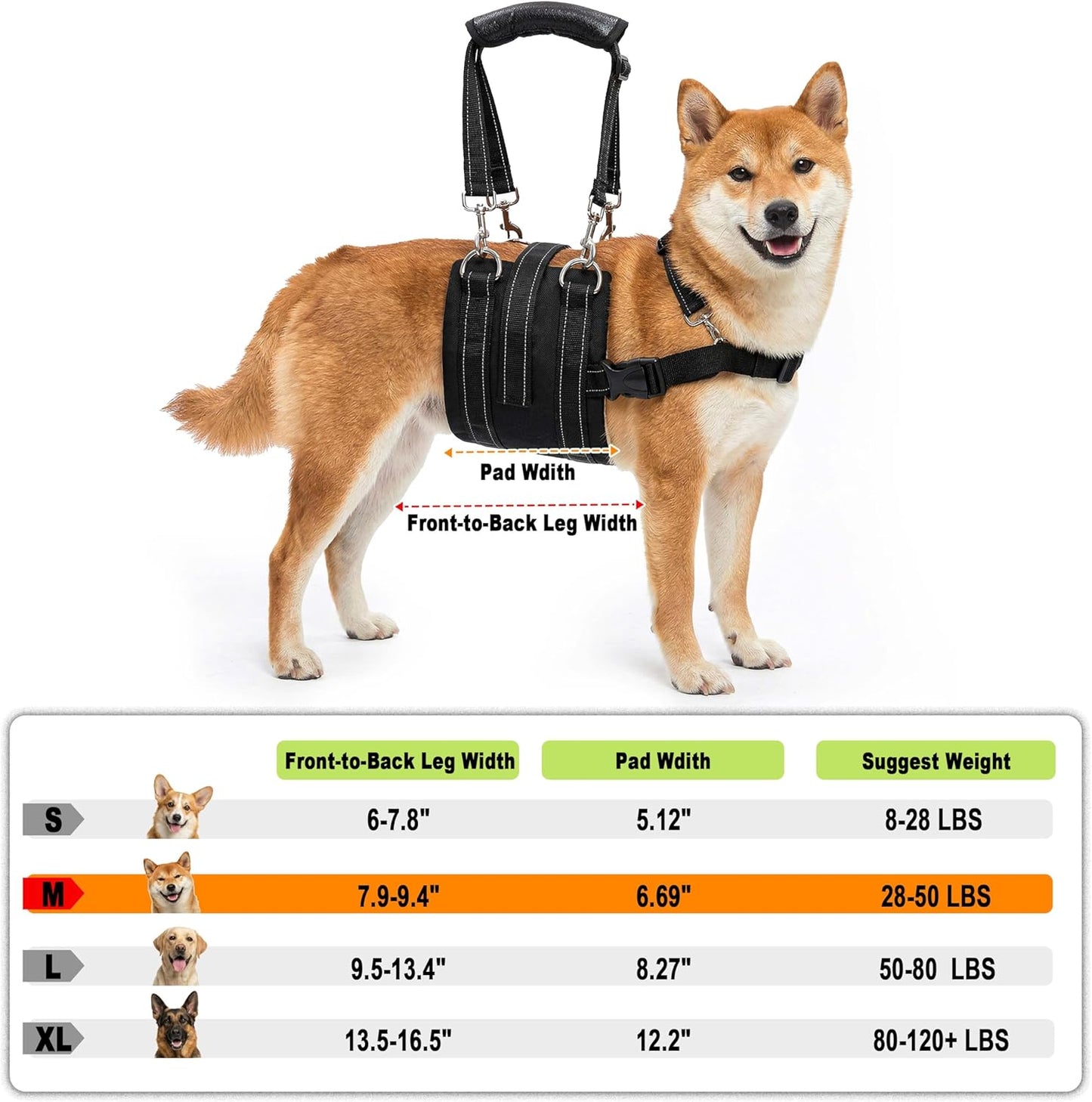 CWV Female Dog Sling for Back Legs, Dog Lift Harness, Magic Tape Dog Sling for Large Dogs Hind Leg Support, Medium, Female