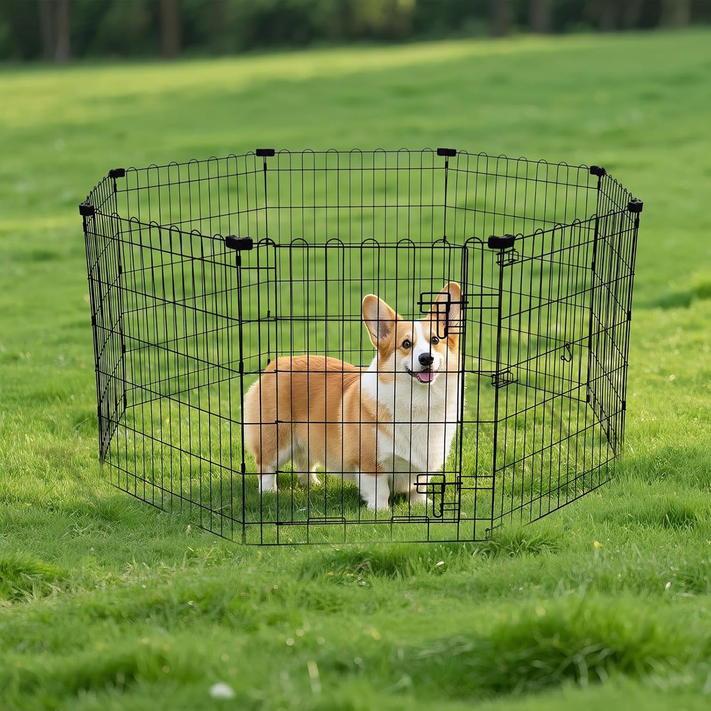 Amazon Basics Portable Foldable Octagonal Metal Exercise Dog Playpen, Indoor/Outdoor Pet Fence with Single Door, 8 Panels, Small, 30 Inches, Black