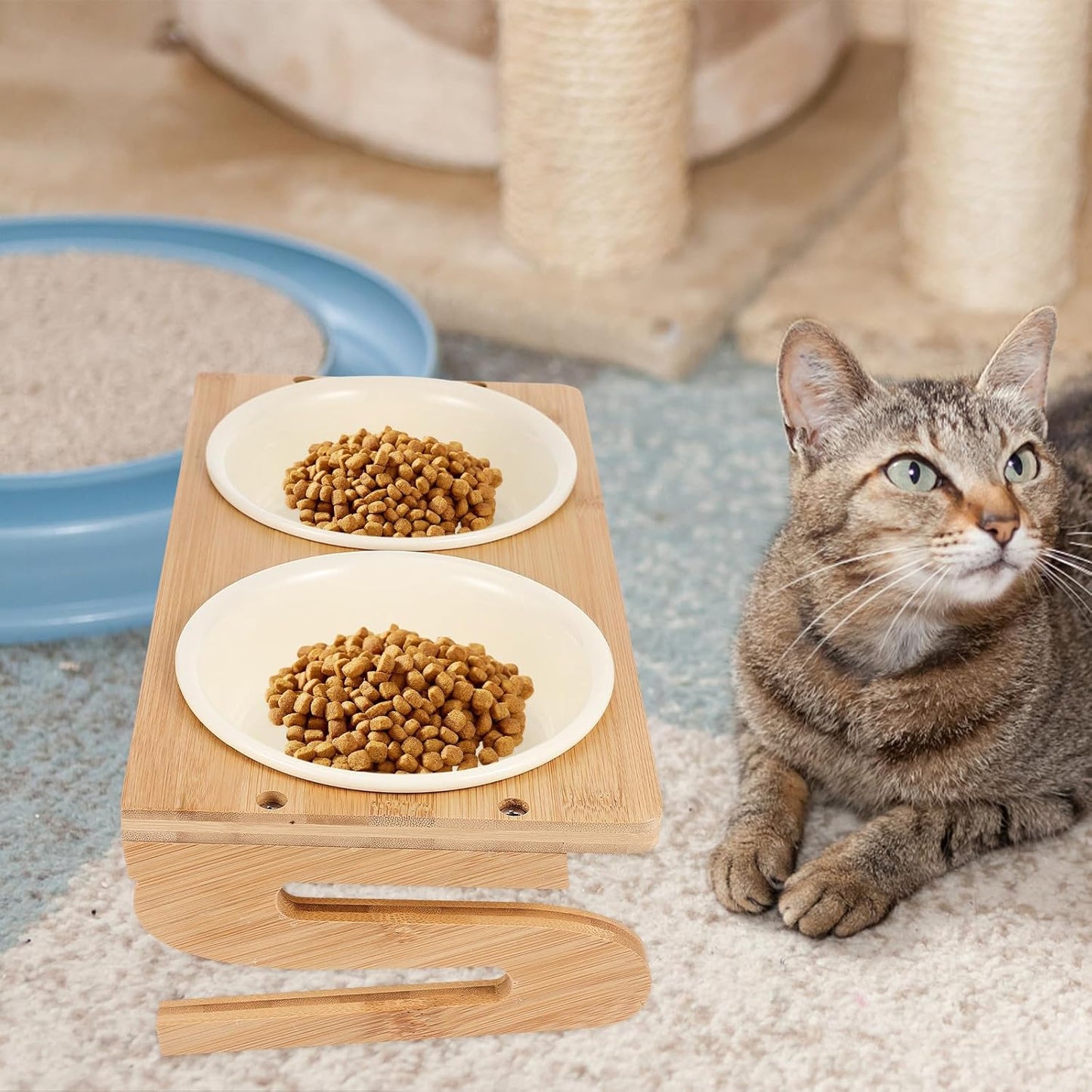 Milisten Ceramic Cat Bowls with Elevated Stand, 15cm Diameter 600ml Capacity, Anti-Slip Raised Pet Feeding Dish for Household Cats and Small Dogs