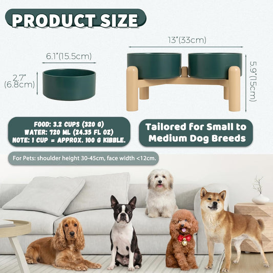 Elevated Ceramic Dog Bowl Set of 2 - Double Dishes with Non-Slip Stand - Raised Food and Water Bowls - Ideal for Small to Medium Dogs - Each Holds 2 Cups (28.75 fl oz) - Green