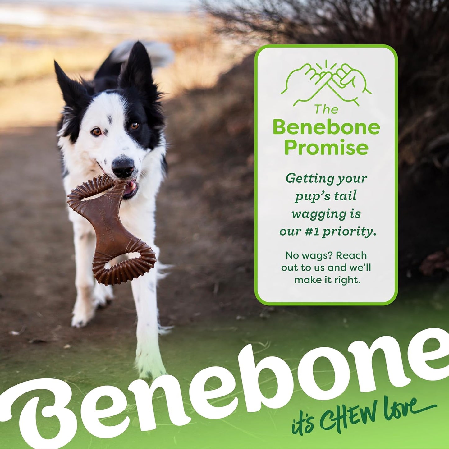 Benebone Dental Durable Dog Chew Toy for Aggressive Chewers, Real Peanut, Made in USA, Large