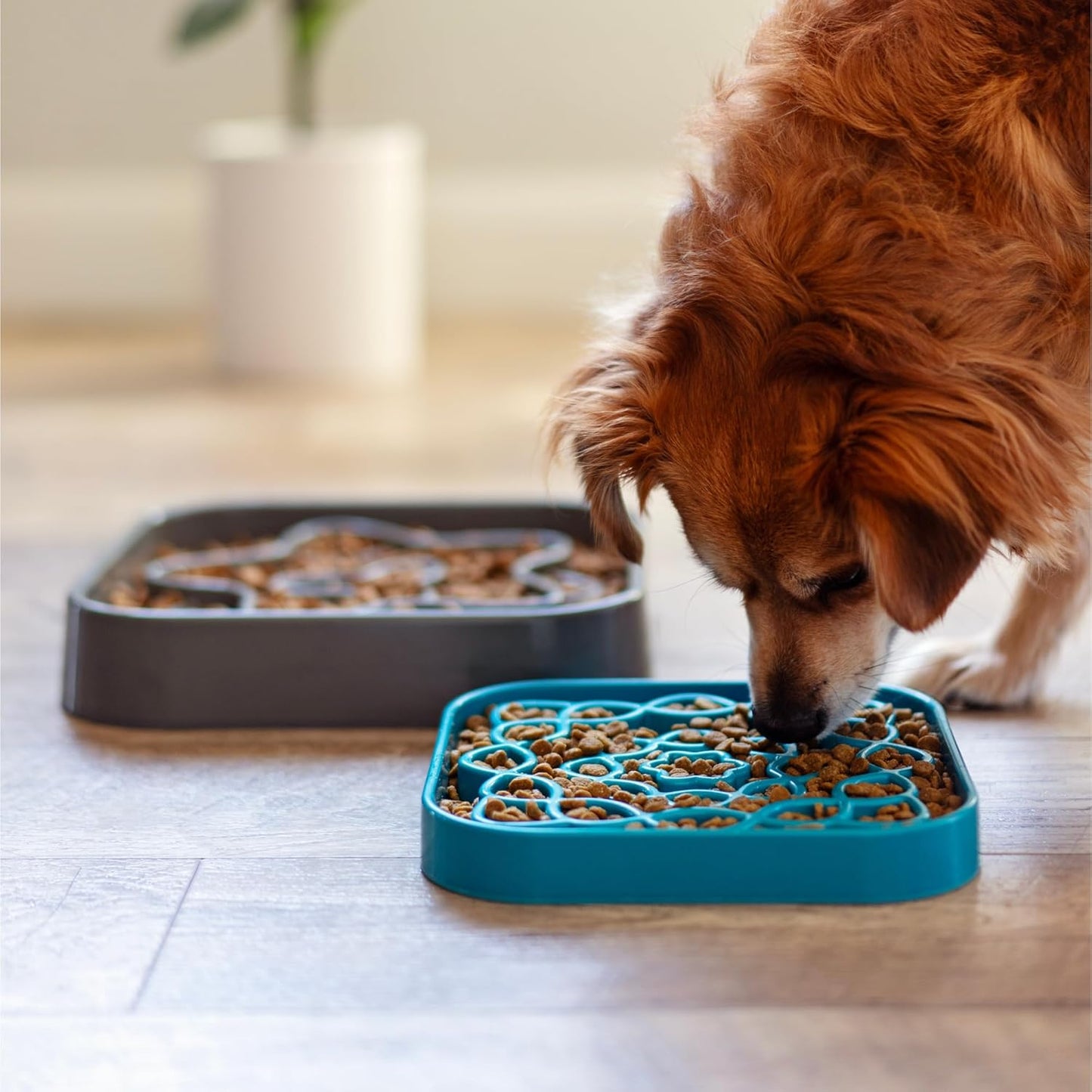 Messy Mutts and Cats Interactive Square Slow Feeder | Cool Grey (2 Cup) | 8” x 8” Square Puzzle Slow Feeder for Dogs/Cats | Enrichment Food Dish for Slow Eating, Bloating