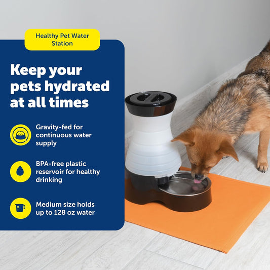 PetSafe Healthy Pet Water Station - Medium, 128 oz Capacity - Gravity Pet Water Fountain, Automatic Cat Water Fountain, Dog Water Fountain, Water Dispenser - Removable Stainless Steel Bowl Included