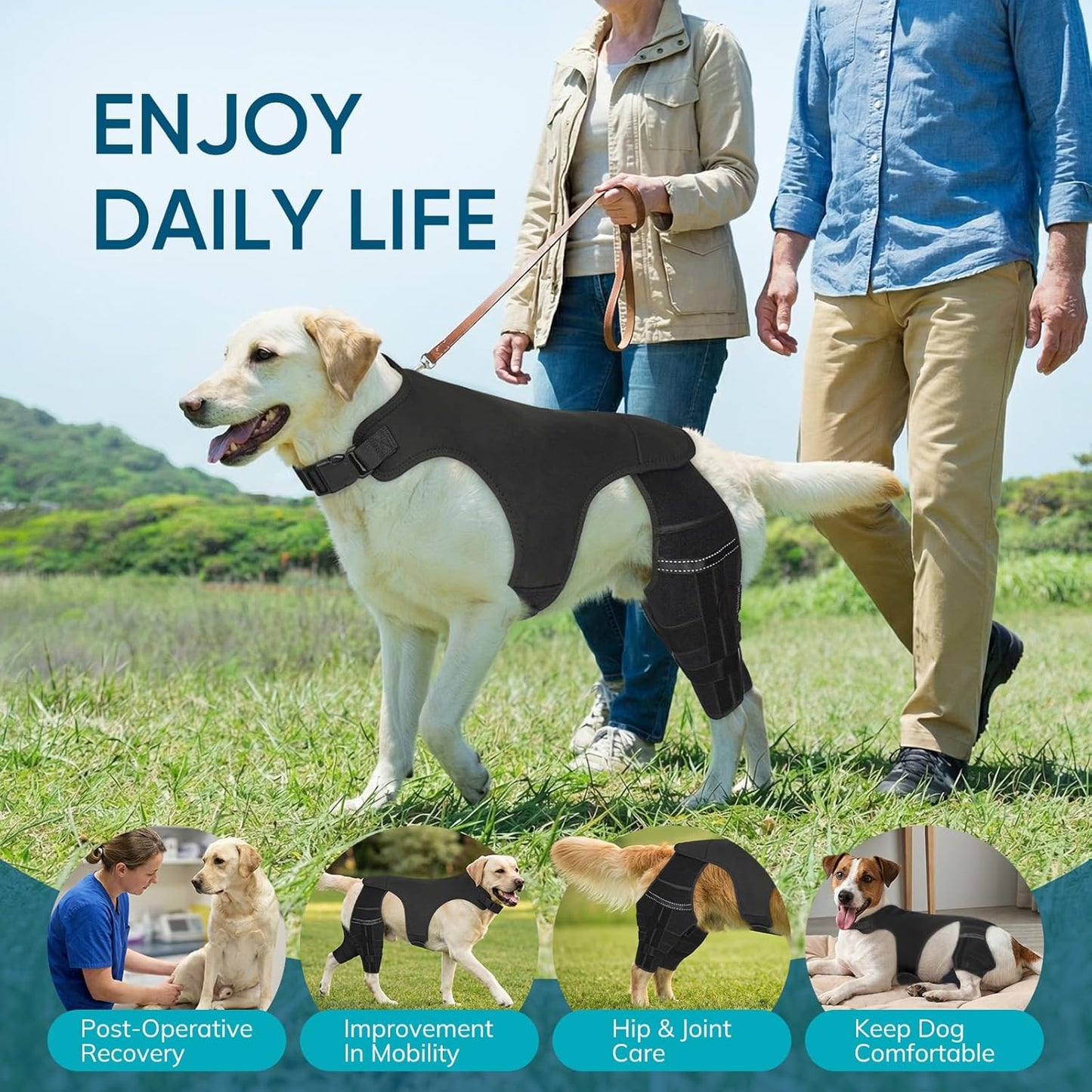 Adjustable Dog Knee Brace for ACL Tear and Arthritis Recovery - Dual Hind Leg Support with Harness Connection - Orthopedic Leg Wrap for Joint Stability and Pain Relief in Small to Large Dog (L)