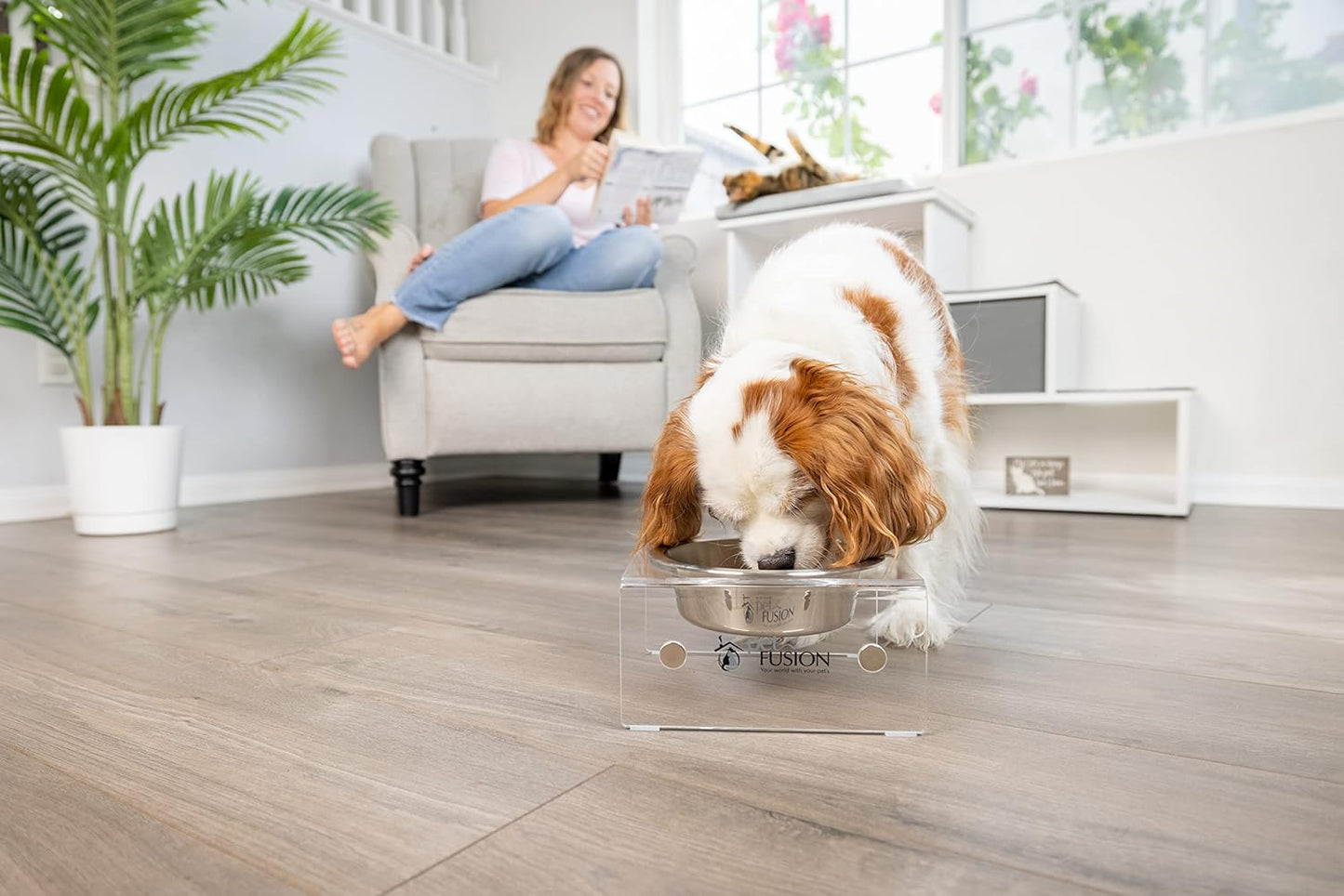 PetFusion Elevated Dog Bowls, Cat Bowls Innovative Raised Pet Feeder