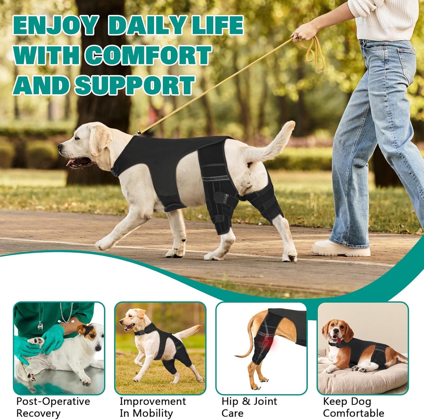 Dog Knee Brace for Hind Legs ACL Support - Adjustable Double Leg Dog Brace for Joint Pain Relief, Luxating Patella, Arthritis Recovery - Secure Fit Orthopedic Wrap for Small Medium Large Dogs (XXL)