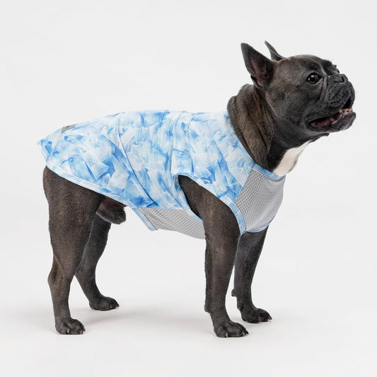 Fitwarm 2 Pack Ice Lemon UPF 50+ UV Sun Protection Dog Shirt, Lightweight Dog Cooling Vest, Quick Dry Summer Clothes for Small Dogs Boy Girl, Pet Outfit, Blue, Yellow, White, Small