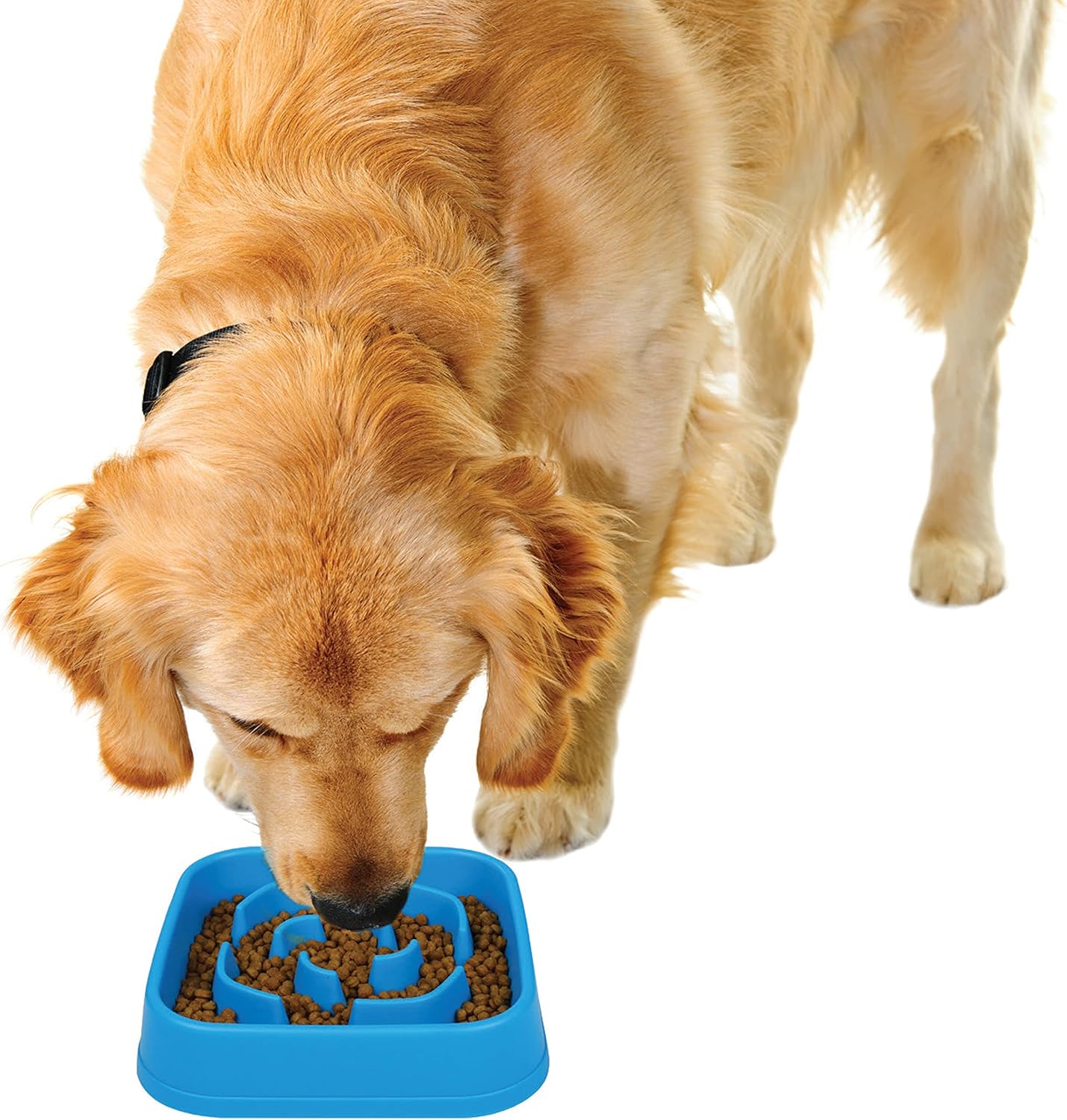 Dexas Seek and Snack Slow Feeder Maze with Non Slip Feet, 6 Cup Capacity, Blue (PW3062194)